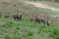 ISO 640, 1/500 sec at f / 9.0, 400 mm