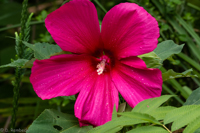 ISO 640, 1/125 sec at f / 9.0, 170 mm