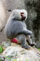 ISO 640, 1/160 sec at f / 9.0, 400 mm