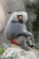 ISO 640, 1/125 sec at f / 9.0, 400 mm