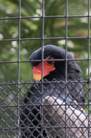 ISO 640, 1/25 sec at f / 9.0, 148 mm