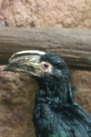 ISO 640, 1/6 sec at f / 9.0, 300 mm