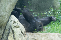 ISO 640, 1/30 sec at f / 9.0, 270 mm