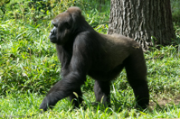 ISO 640, 1/125 sec at f / 9.0, 158 mm