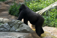 ISO 640, 1/100 sec at f / 9.0, 120 mm