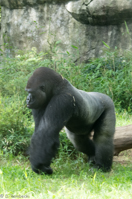 ISO 640, 1/50 sec at f / 9.0, 120 mm