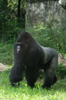 ISO 640, 1/50 sec at f / 9.0, 120 mm