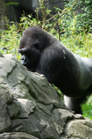 ISO 640, 1/60 sec at f / 9.0, 120 mm