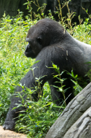 ISO 640, 1/80 sec at f / 9.0, 120 mm