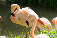 ISO 640, 1/200 sec at f / 9.0, 158 mm