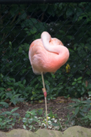 ISO 640, 1/25 sec at f / 9.0, 350 mm