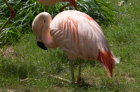 ISO 640, 1/400 sec at f / 9.0, 170 mm