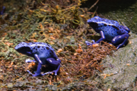 ISO 640, 1/4 sec at f / 11, 128 mm