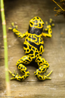 ISO 640, 1/200 sec at f / 2.8, 145 mm