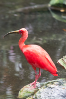 ISO 640, 1/50 sec at f / 2.8, 135 mm