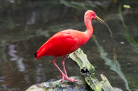 ISO 640, 1/50 sec at f / 2.8, 135 mm