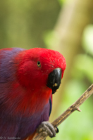 ISO 640, 1/30 sec at f / 2.8, 118 mm