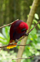 ISO 640, 1/50 sec at f / 2.8, 70 mm