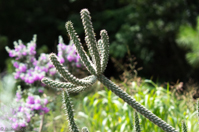 ISO 640, 1/2500 sec at f / 2.8, 83 mm