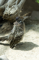 ISO 640, 1/2000 sec at f / 2.8, 128 mm