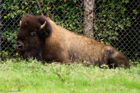 ISO 640, 1/320 sec at f / 5.6, 400 mm