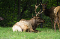 ISO 640, 1/125 sec at f / 5.6, 320 mm