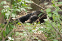 ISO 640, 1/50 sec at f / 5.6, 400 mm