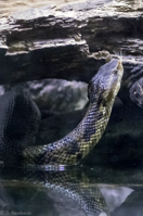 ISO 16000, 1/40 sec at f / 4.5, 120 mm