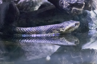 ISO 16000, 1/50 sec at f / 4.5, 120 mm