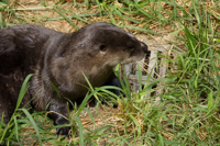 ISO 800, 1/640 sec at f / 6.3, 120 mm